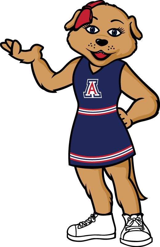 Arizona Wildcats 2013-Pres Mascot Logo diy DTF decal sticker